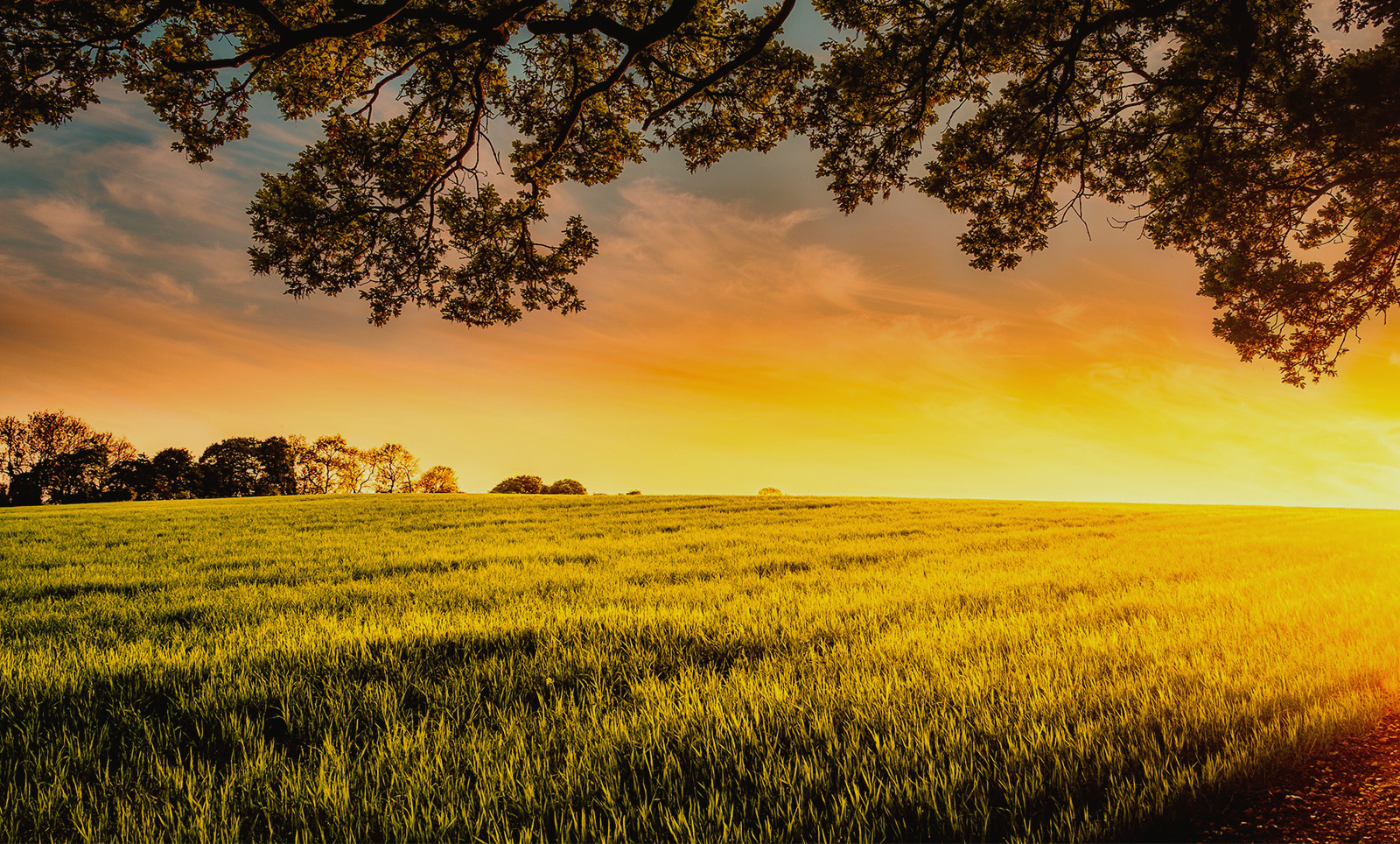  Leading manufacturer of anionic, nonionic, amphoteric surfactants, additives & adjuvants for agrochemicals. Custom crop protection solutions.